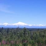 Denali in distance