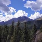 Denali National Park